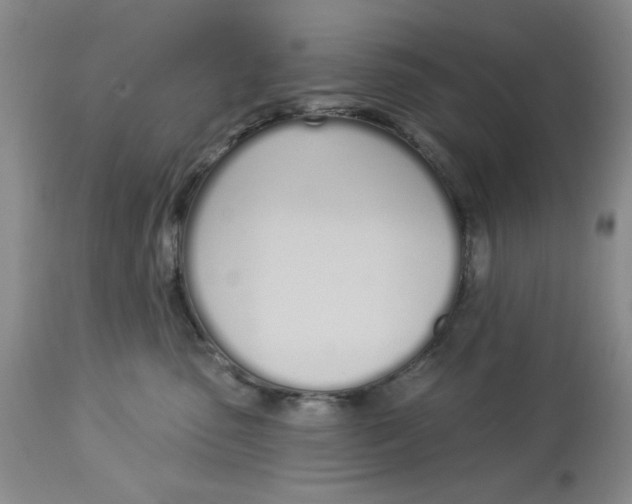 X0000114000475200910231756