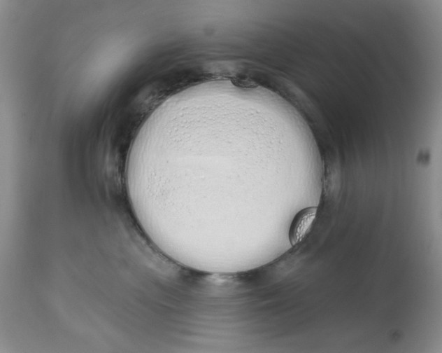 X0000114000477200910231756