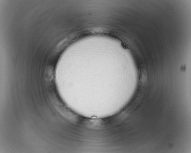 X0000114000478200910231756