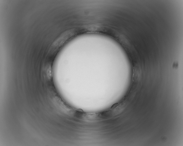 X0000114000479200910231756
