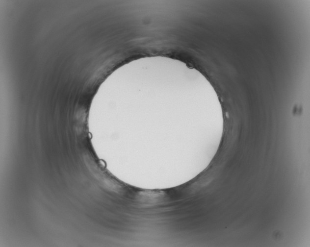 X0000114000480200910231756