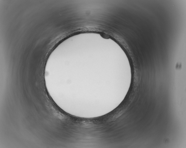 X0000114000481200910231756