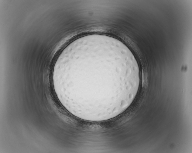 X0000114000483200910231756