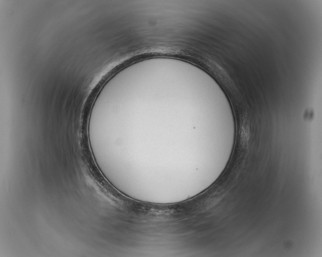 X0000114000484200910231756