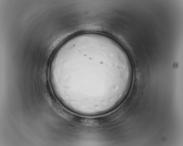 X0000114000487200910231755