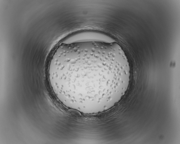 X0000114000488200910231755