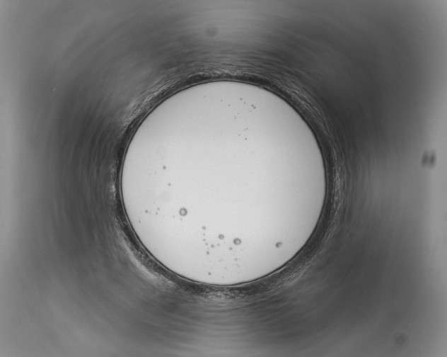 X0000114000489200910231755