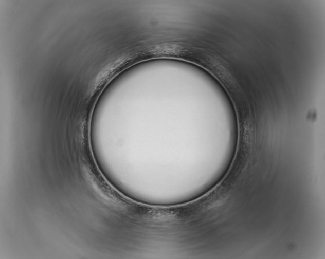 X0000114000491200910231755