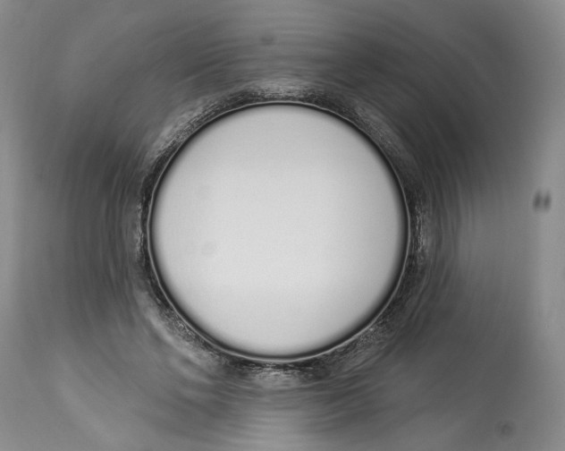 X0000114000494200910231755