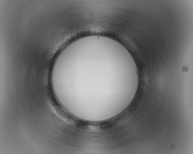 X0000114000496200910231755