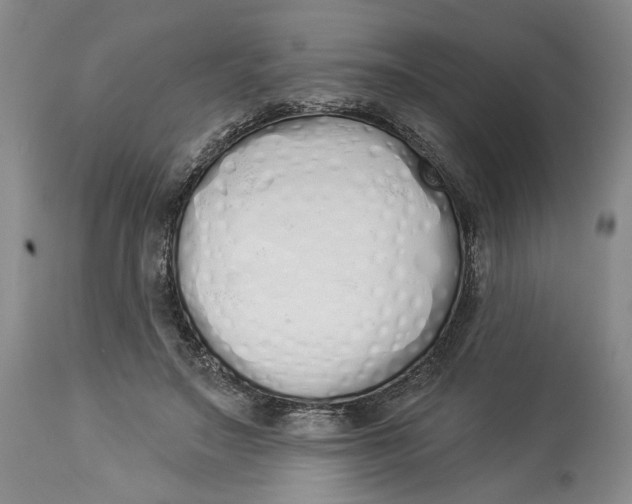 X0000114000499200910231755