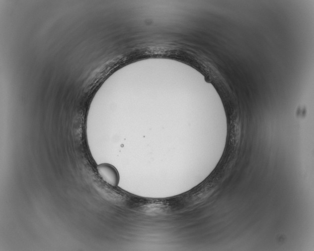 X0000114000505200910231755