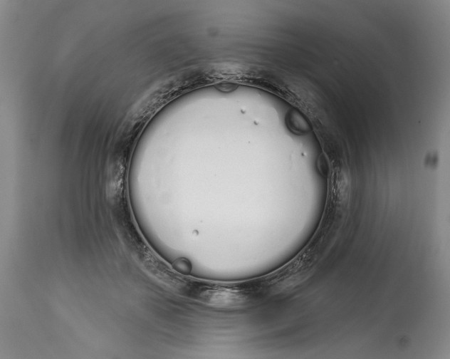 X0000114000507200910231755