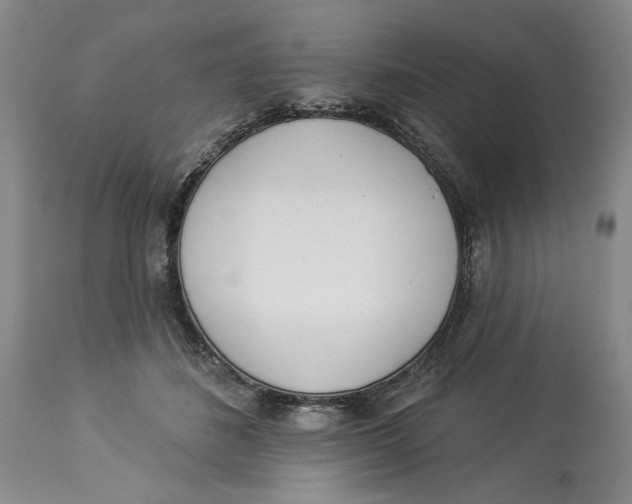 X0000114000508200910231755