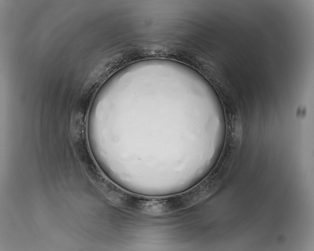 X0000114000511200910231755