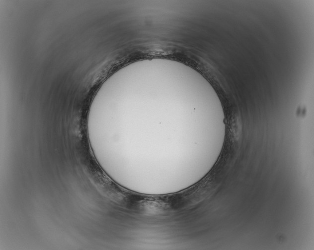 X0000114000512200910231755