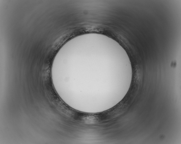 X0000114000513200910231755