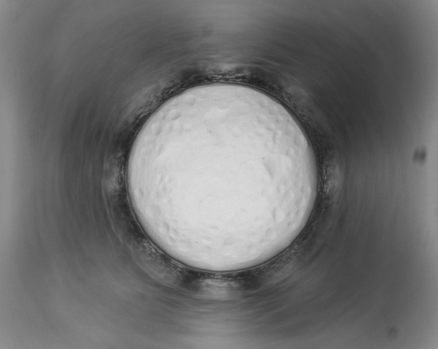 X0000114000515200910231755