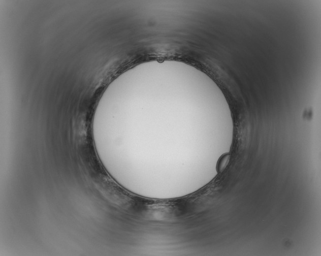 X0000114000516200910231755