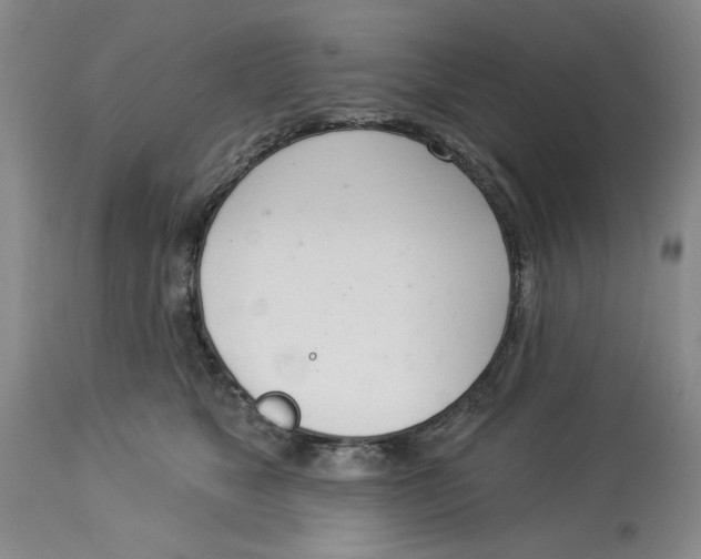 X0000114000517200910231755