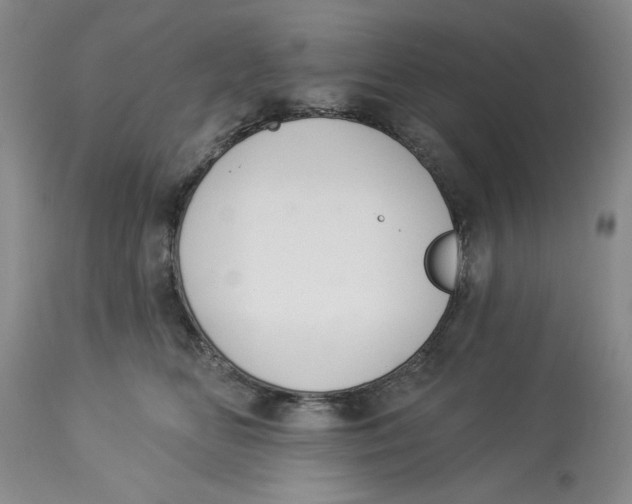 X0000114000518200910231755