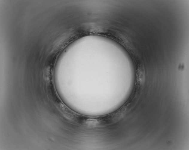 X0000114000519200910231755