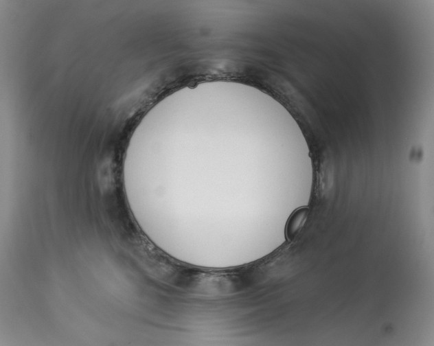 X0000114000520200910231755