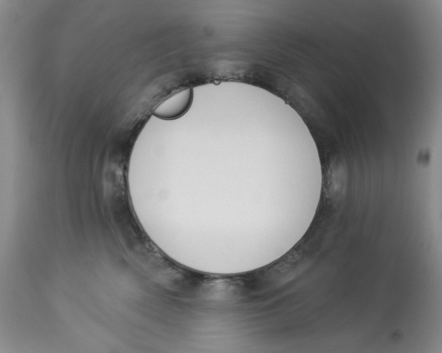 X0000114000522200910231755