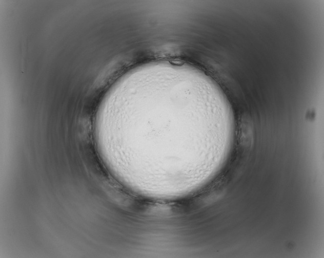 X0000114000523200910231755