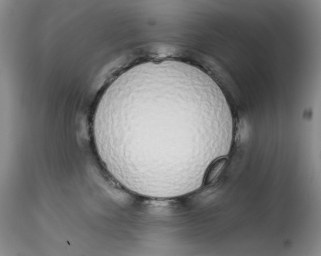X0000114000524200910231755