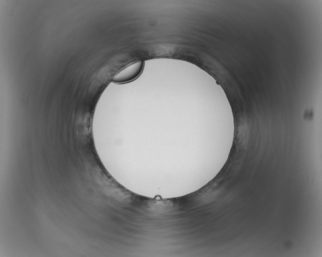 X0000114000525200910231755