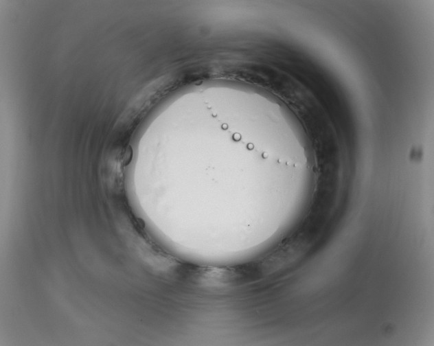 X0000114000527200910231755