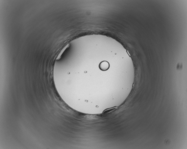 X0000114000528200910231755