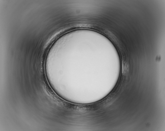 X0000114000531200910231754