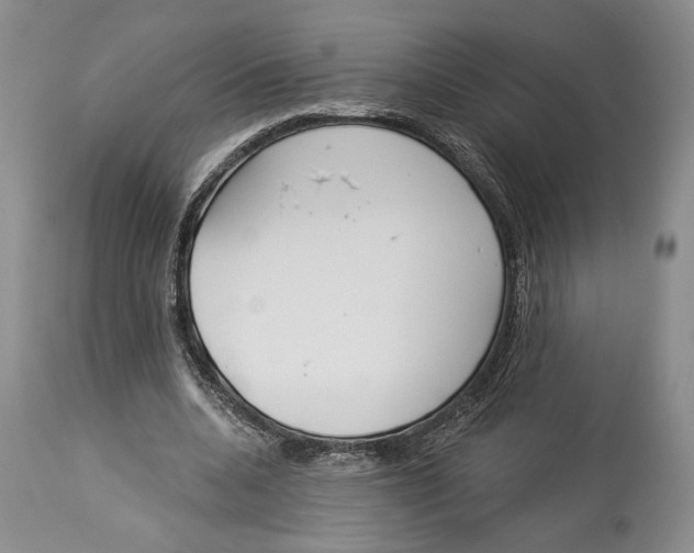X0000114000536200910231754