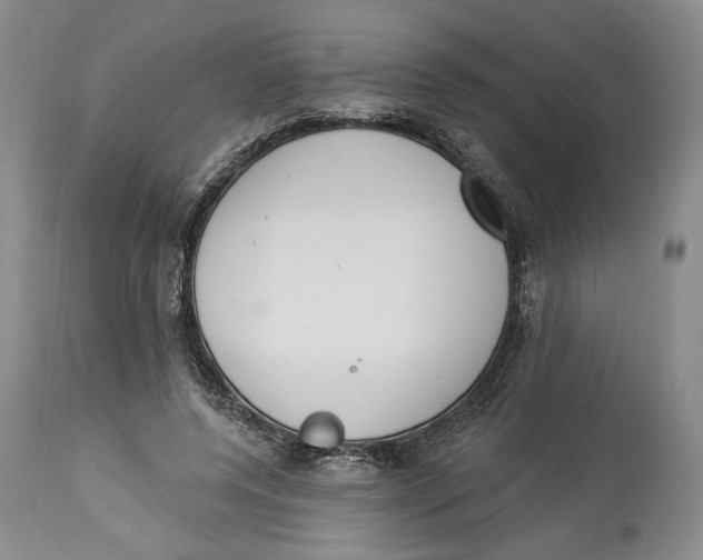 X0000114000544200910231754