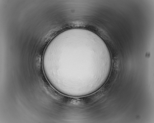 X0000114000550200910231754