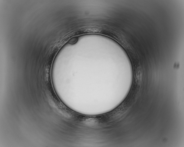 X0000114000551200910231754
