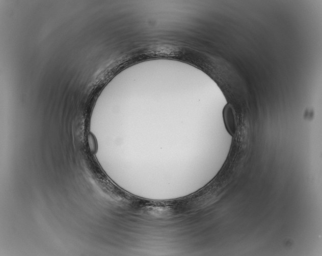 X0000114000552200910231754