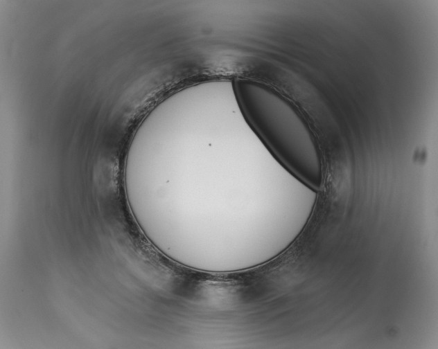 X0000114000556200910231754