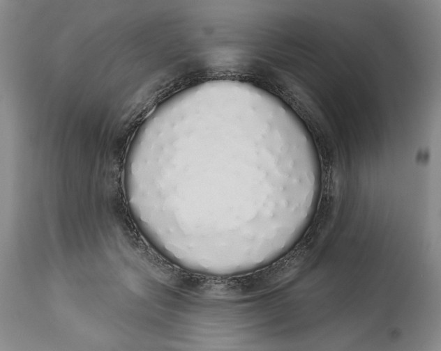 X0000114000557200910231754