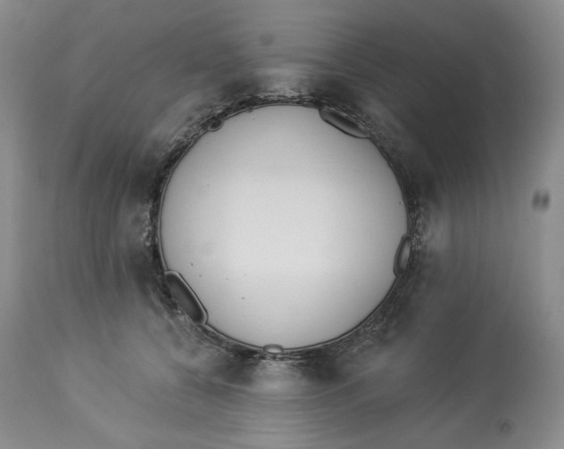 X0000114000560200910231755