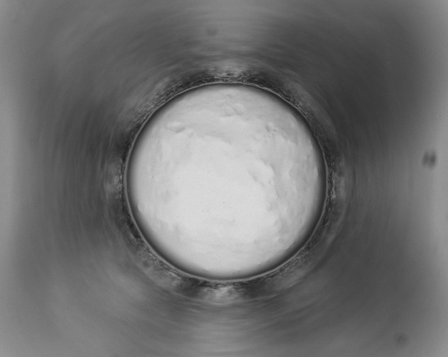 X0000114000561200910231755