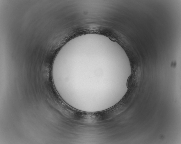 X0000114000562200910231755