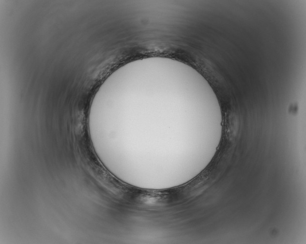 X0000114000563200910231755
