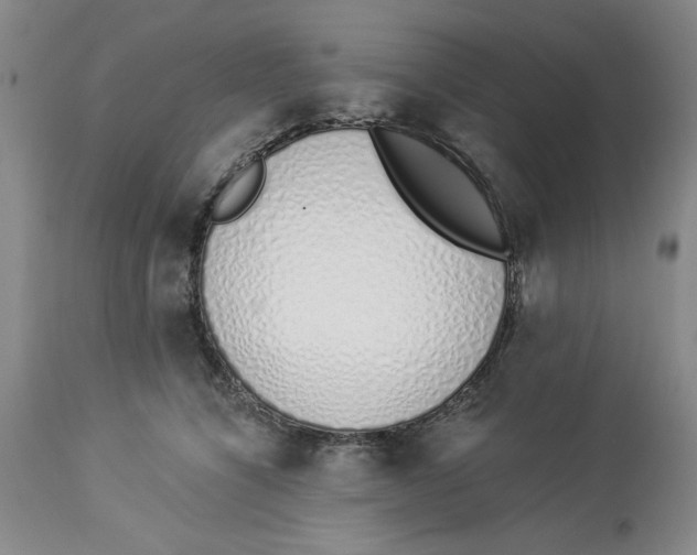 X0000114000564200910231755