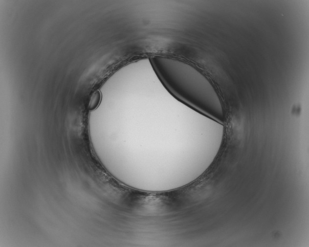 X0000114000566200910231755