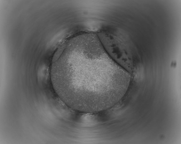 X0000114000568200910231755