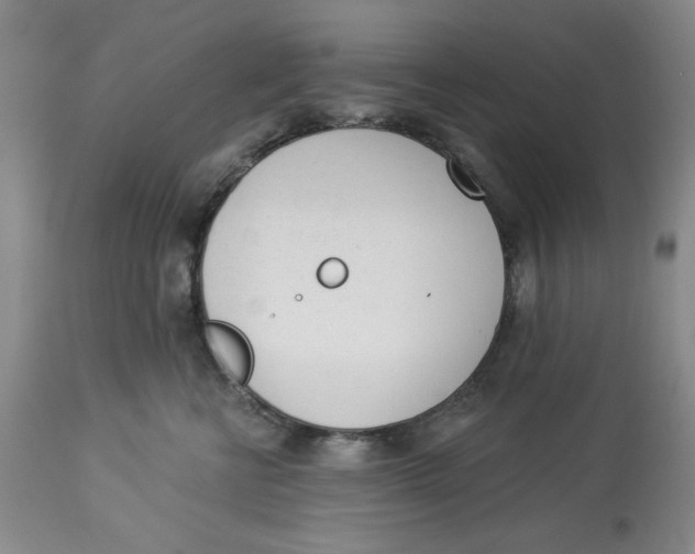 X0000114000570200910231755