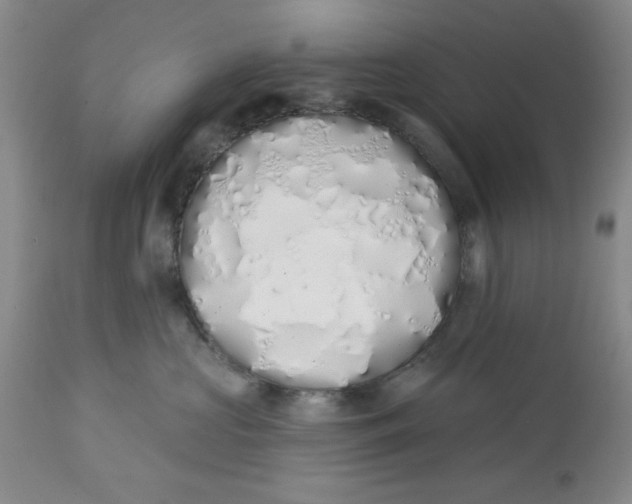 X0000114000573200910231755